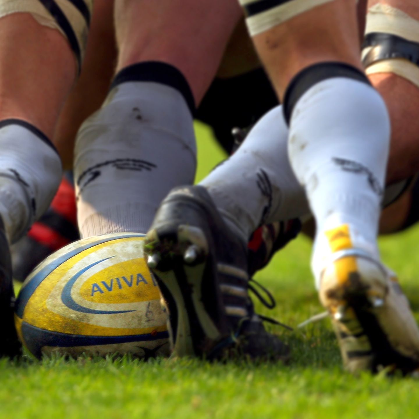 Watch rugby Clearance