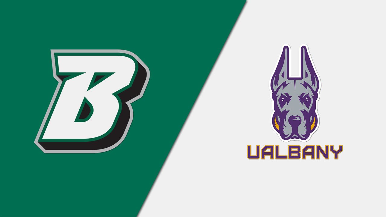 Binghamton vs. Albany 2/11/23 NCAA Women's Basketball Live Stream on