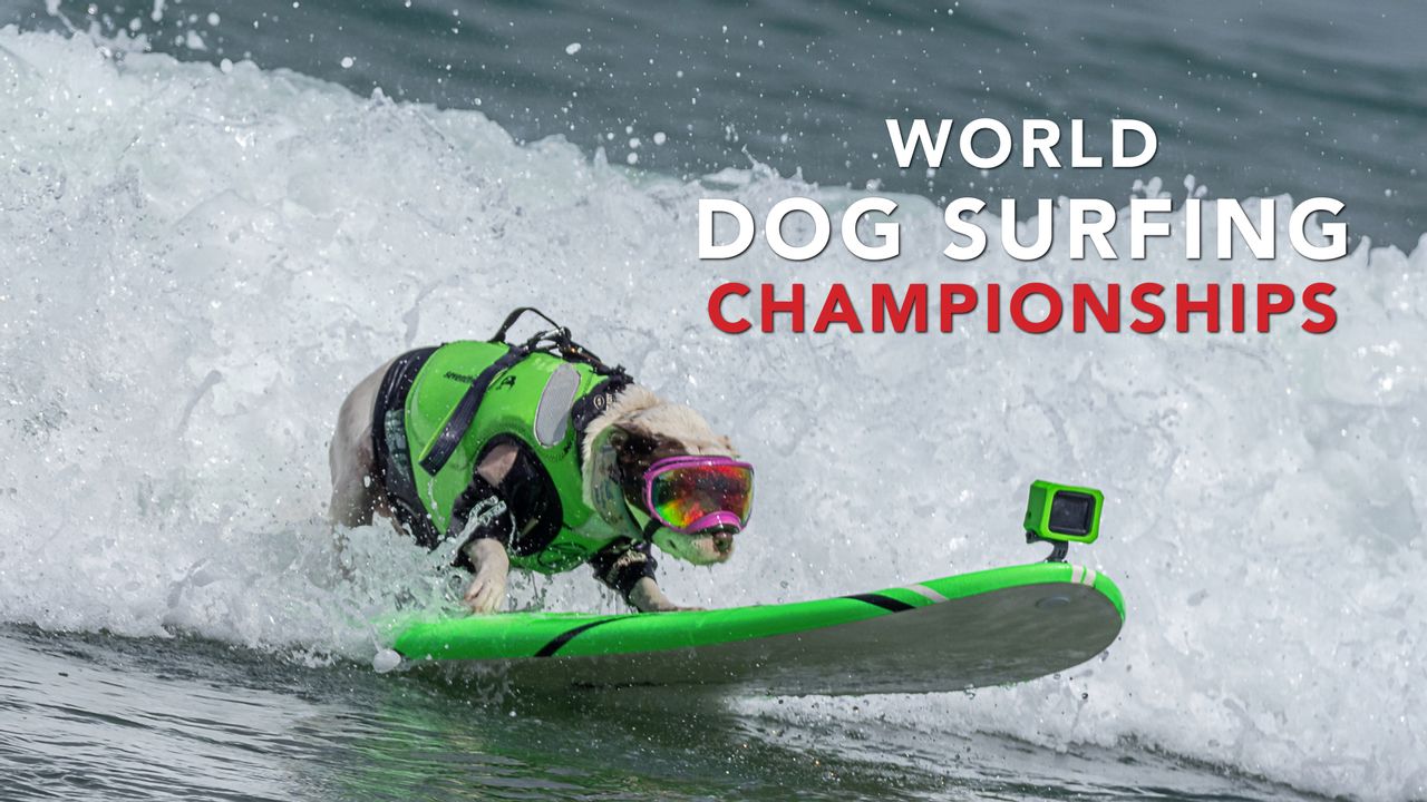 Fri, 8/1 - En Español-2025 World Dog Surfing Championships Best Waves