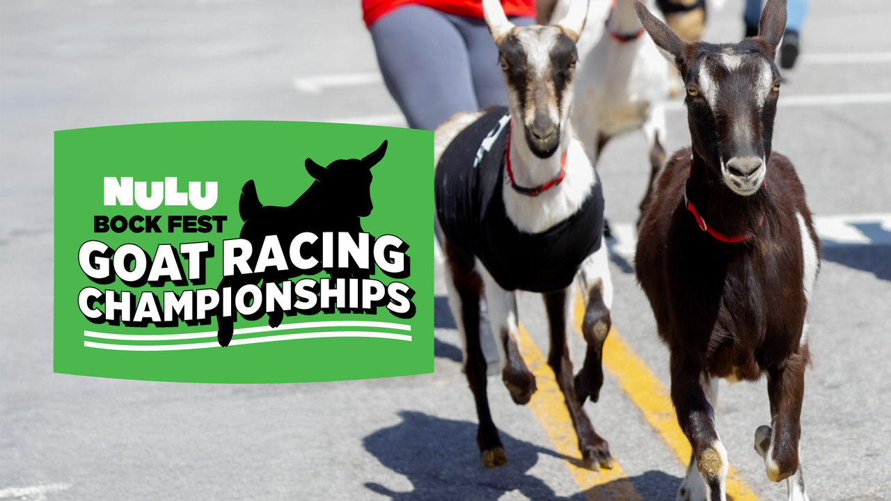 NuLu Bock Fest Goat Racing Championships
