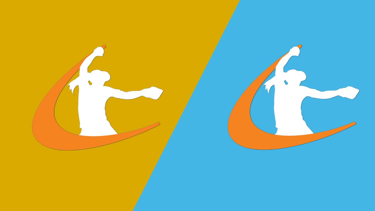 Team Gold vs. Team Blue