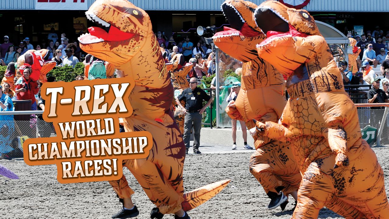 En Español-T-Rex World Championship Races